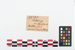 Etikett zu Bronzemehrkopfnadel (NHMW-PRAE-025363)